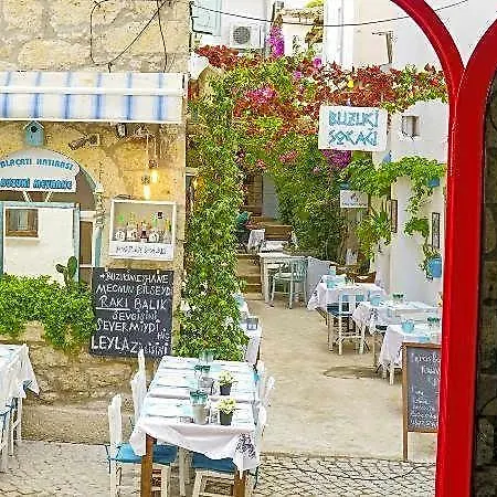 Mara Koeyici